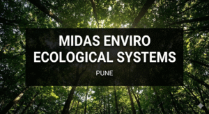 Gemini_Generated_Image_755q41755q41755q (5)